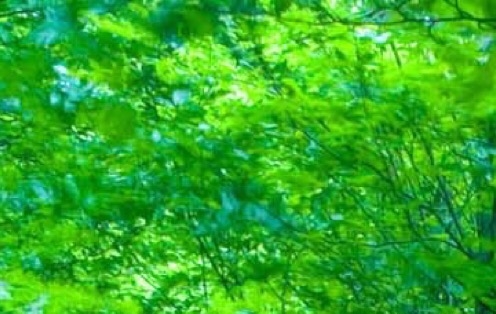 捷普科技彭州工厂与上海车间实景照片