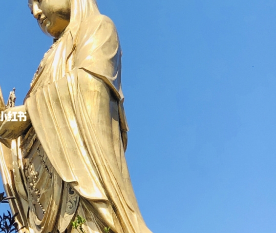 欢乐着无能生活，歌声鼓舞前行