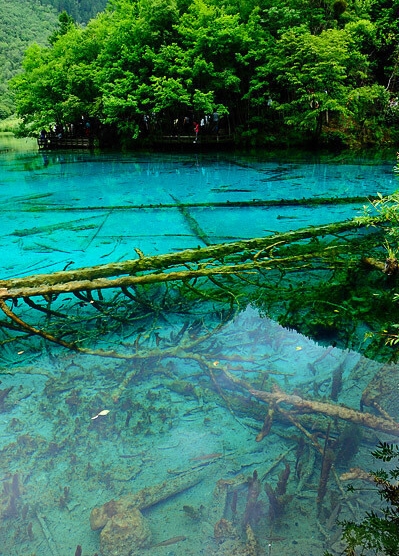济南公安陈忠军简历