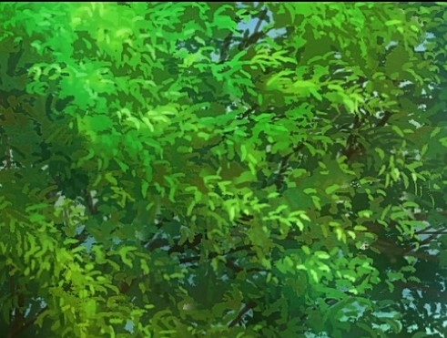 医学奇迹：探寻生命的无限可能！网络用语医学奇迹：神奇的健康秘诀！