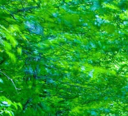 中老年夏装长袖上衣