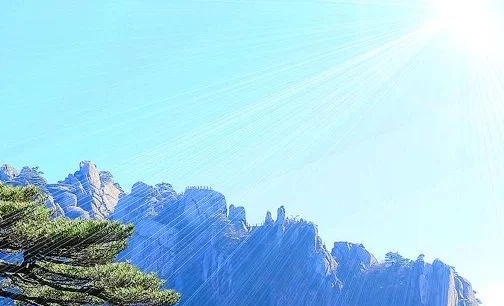美味的蛋糕