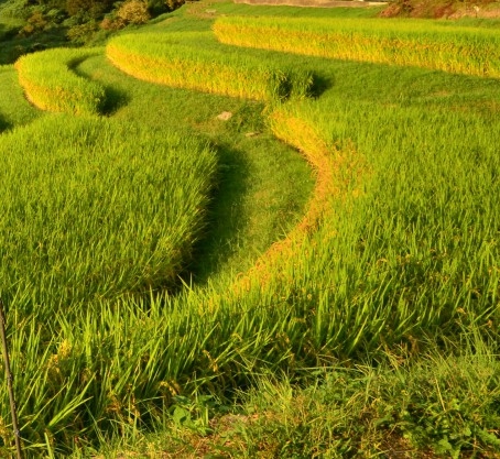 科技选房，博点科技助您轻松选房