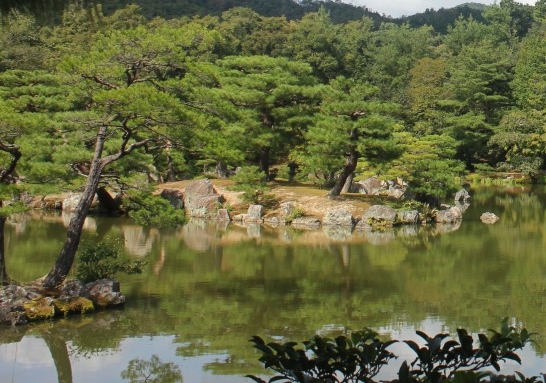 中山陵园梅花