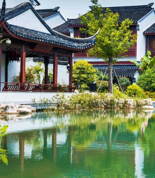 科幻大片奇迹在线播放：带你探索未来世界