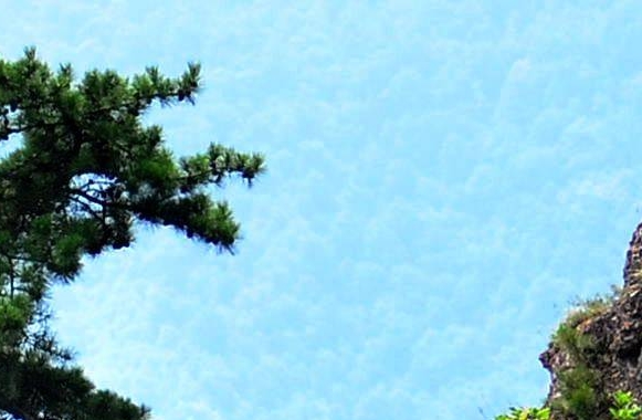 六十岁以上待安置人员可获生活补助