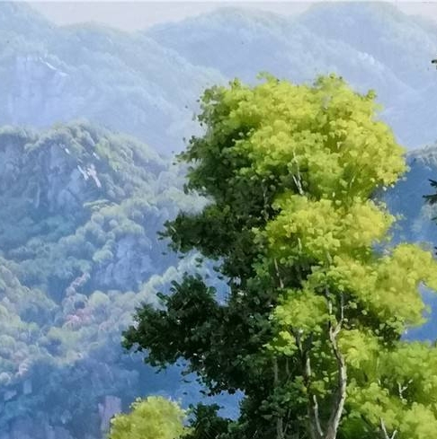 承德银行张磊简历