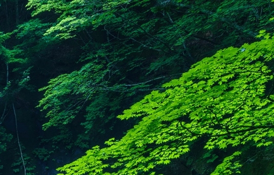 河南威信环保科技与河南利威新能源科技有限公司携手打造环保新未来
