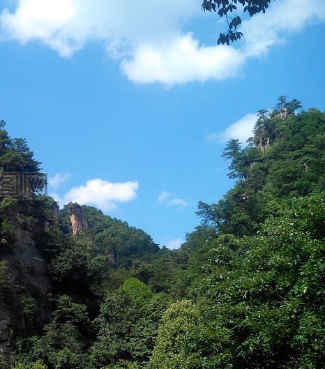 简历空档期