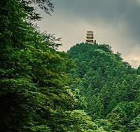 林俞含姓名测试打分