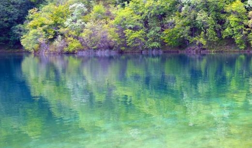 李树华：从永锋集团到北海，职场路上不断进步