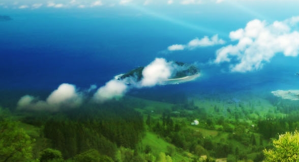 北海李树华简历
