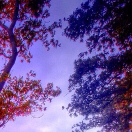 微信小程序一起生活登录不上