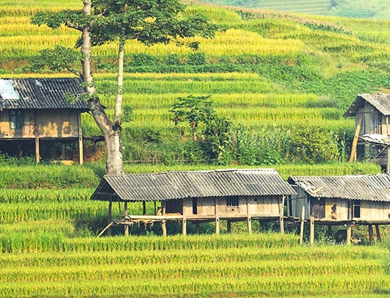 科技核心CA