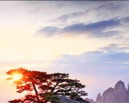 殷桃现在的生活