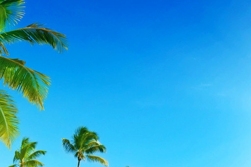 生活就是不能这样的句子