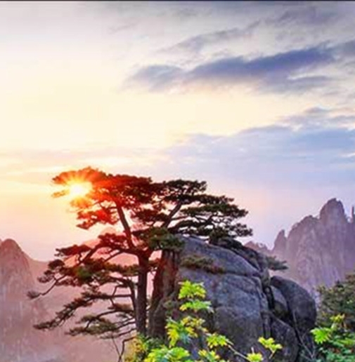 抗疫居家小妙招：课题研究探索