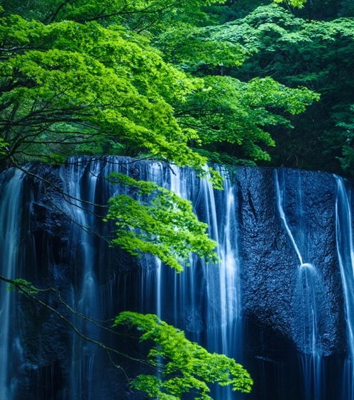 衡水学院王守忠简历