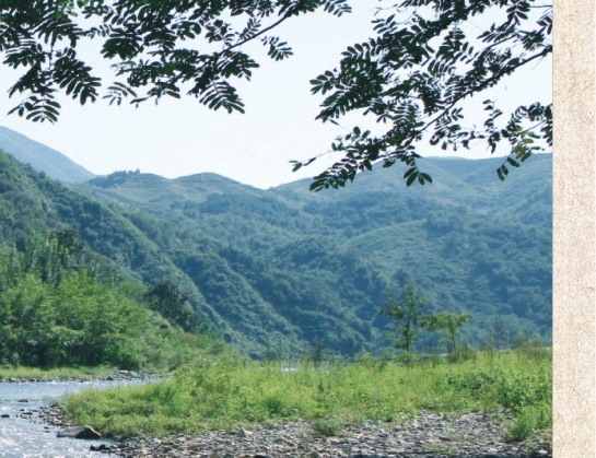 宝宝喝水视频播放
