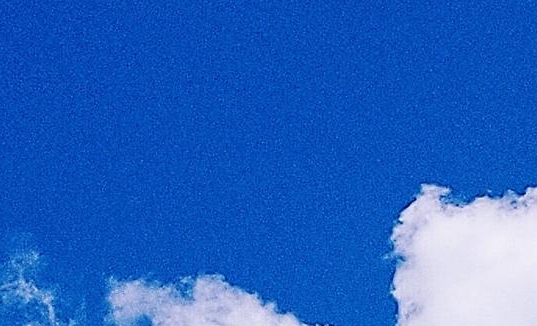 生活和现实无奈的词语有哪些