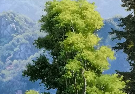 珠海市蜜蜂科技