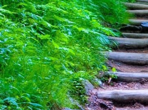 生活状态观察：一个场景的细节描摹