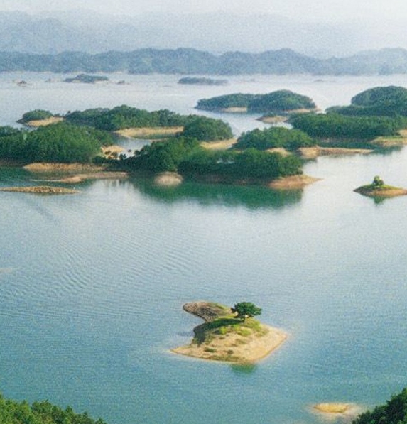 松山湖生活老师招聘