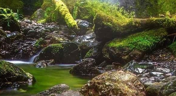 富人过平民生活：现代奢华的缩影古代富人的奢靡生活：瑰丽华美的印记