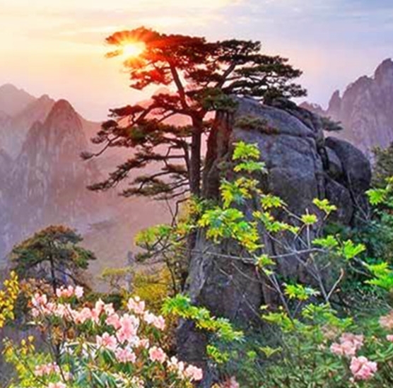 生活中缺席的爸爸
