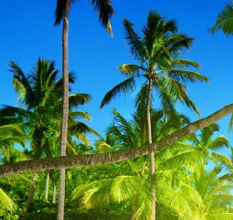 使命召唤战区注册姓名