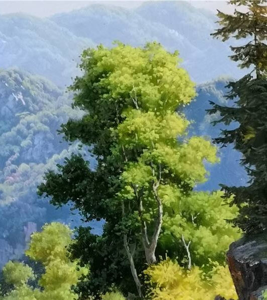 身份证姓名照片大全