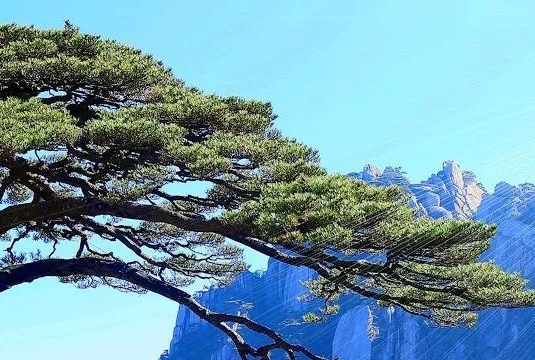 曹立华简历