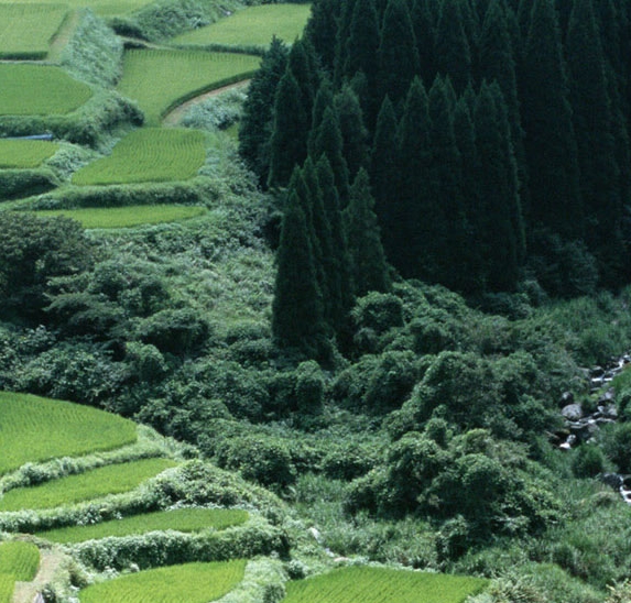 疫情下，好好地生活不容忽视