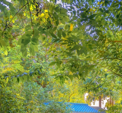 娄烦、盖县美味粗粮海鲜馆，尽享健康美食