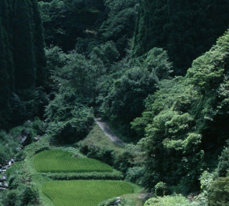 奇迹来临，诗篇自由