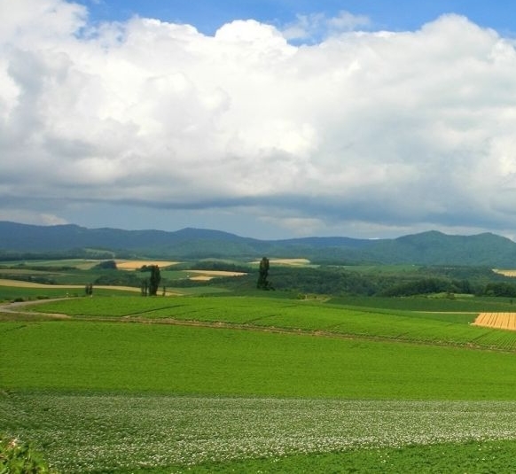 奇迹在塔山：守住并非偶然