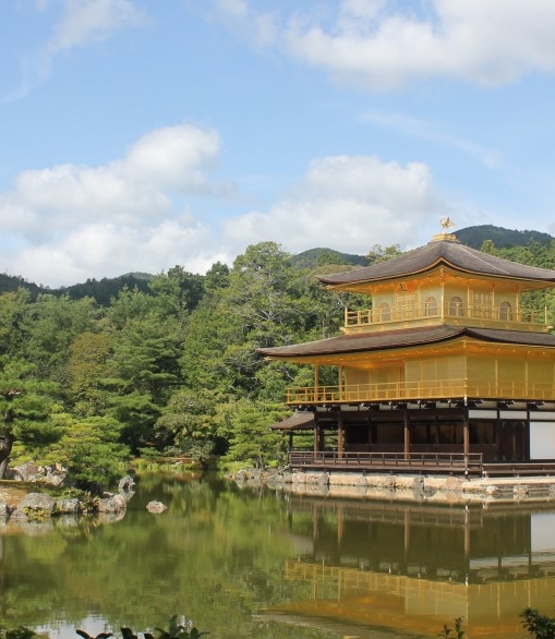 多米蓝全屋定制