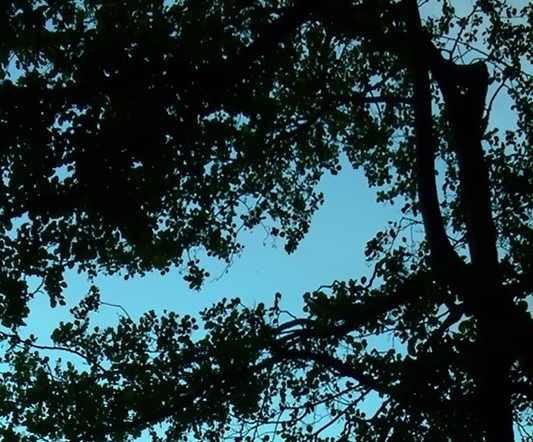 比照夜景，襄阳与绵阳科技城谁更美？
