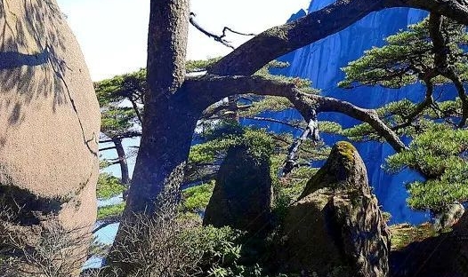 为什么15级没解锁科技配件