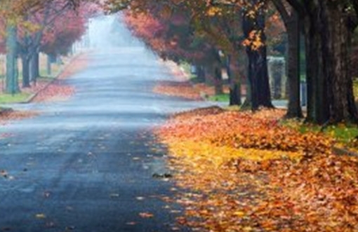 达芬奇姓名缩写与达芬奇的英文名缩写详解