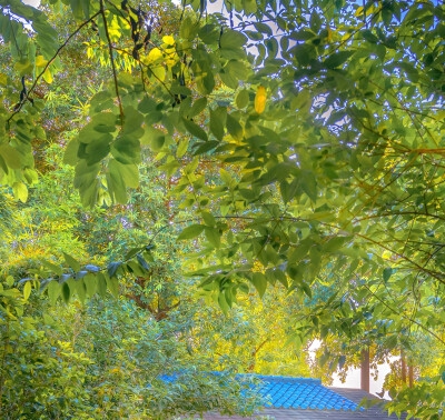 智科机器人有限公司
