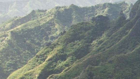 舌尖上有小疙瘩