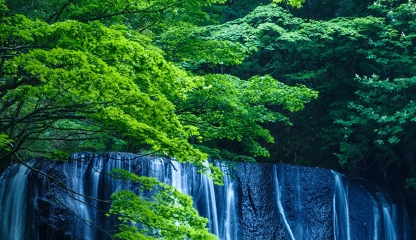 主持人大左照片