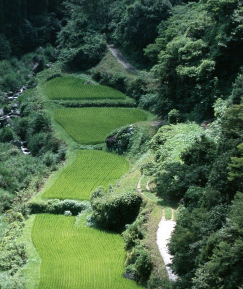 广西农信信息科技岗待遇