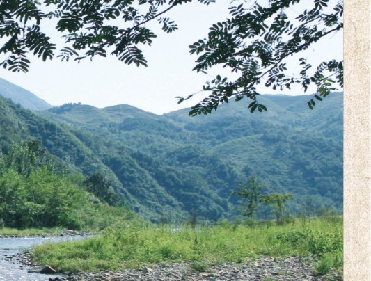 从康纳利到克雷格，探寻邦德姓名背后的历任邦德