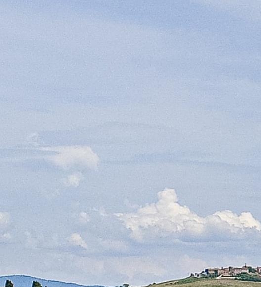 美味鱿鱼的广告词