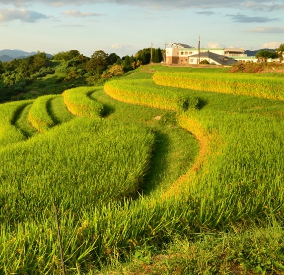 赵元毫简历