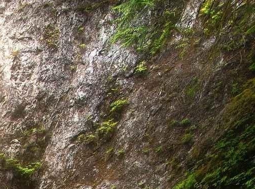 生活图帖与生活对比图：探究现实与幻想的差距