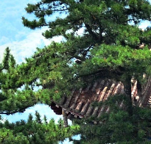 房车田园生活小院的美式田园小院介绍