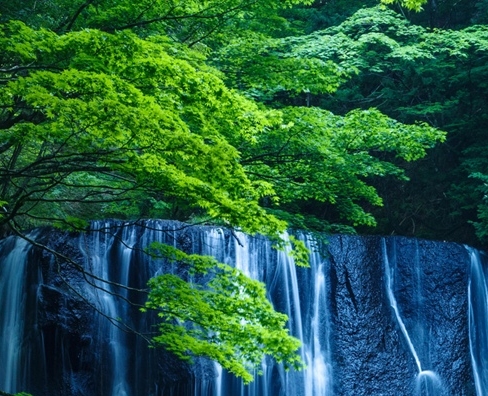 田园胖嫂与胖丫的乡村生活